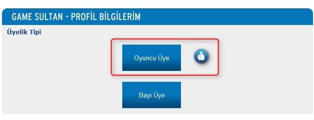 gs2.jpg
