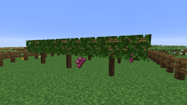 vineyard-625x352.png