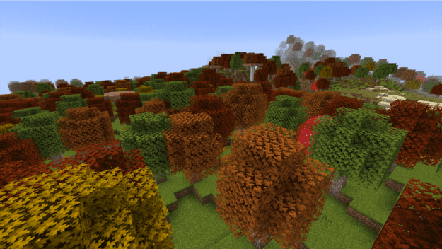 forest-1-625x352.png